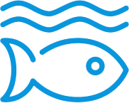 Life Below Water